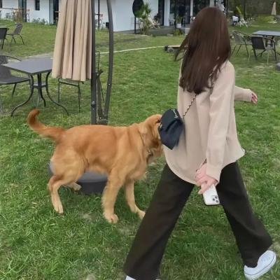 猛虎屠龙